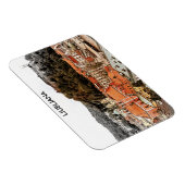 リュブリャナスロヴェニアシティビュー マグネット (右側)