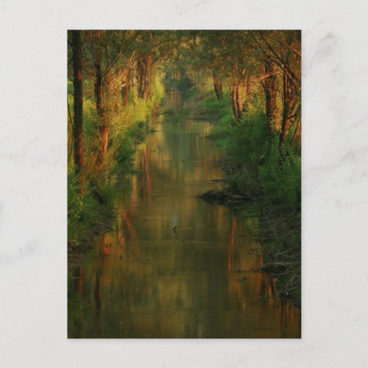 リュブリャナムーア ポストカード (正面)