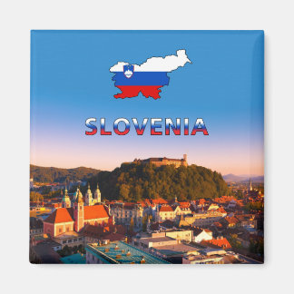 リュブリャナ002T マグネット