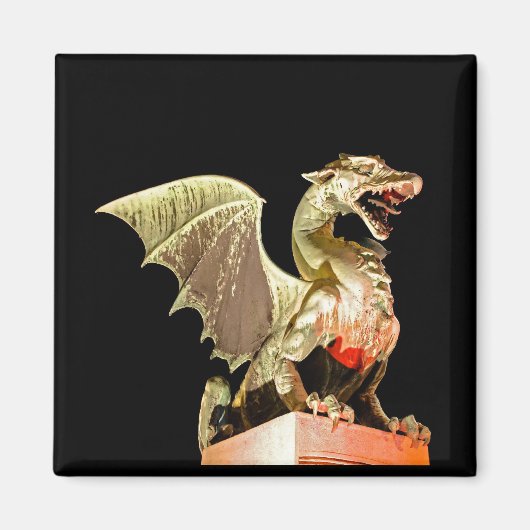 リュブリャナ01A マグネット (正面)