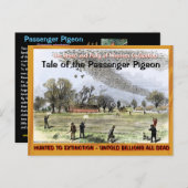 リョコウバトの悲しい悲しい物語 – - ポストカード (正面/裏面)