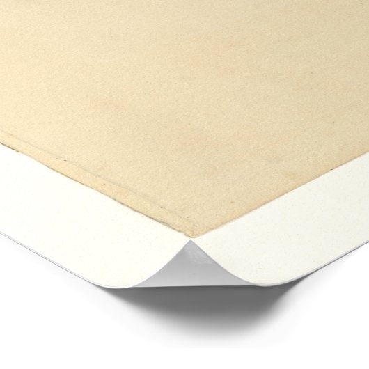 リョコウバト ポスター (角)