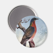 リョントハト マグネット (正面/裏面)