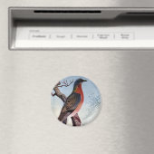 リョントハト マグネット (インサイチュ (食洗機))