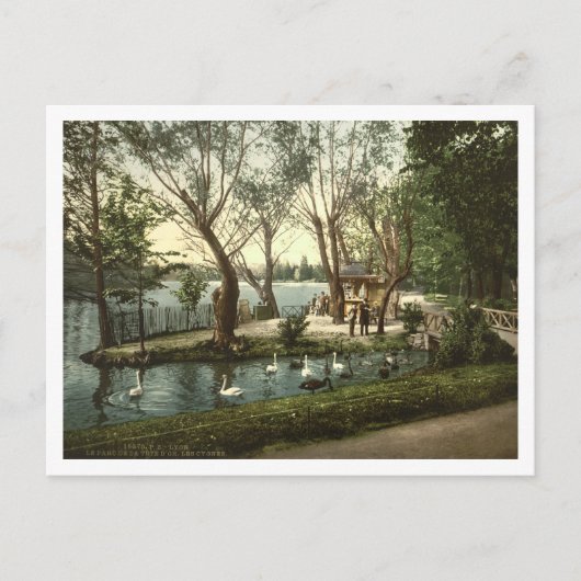 リヨン，フランス，パルク・デ・ラ・テドール ポストカード (正面)