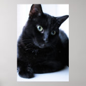 リラキシン ポスター (正面)