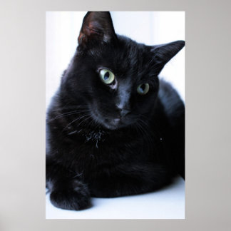 リラキシン ポスター