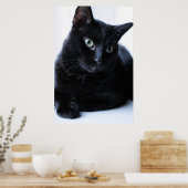 リラキシン ポスター (キッチン)