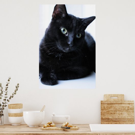 リラキシン ポスター (キッチン)