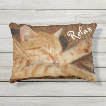 リラックスさせるな猫