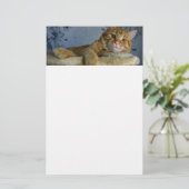 リラックスさせるな猫 便箋 (スタンド正面)