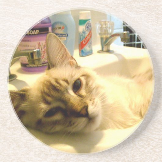 リラックスした子猫のコースター コースター (正面)