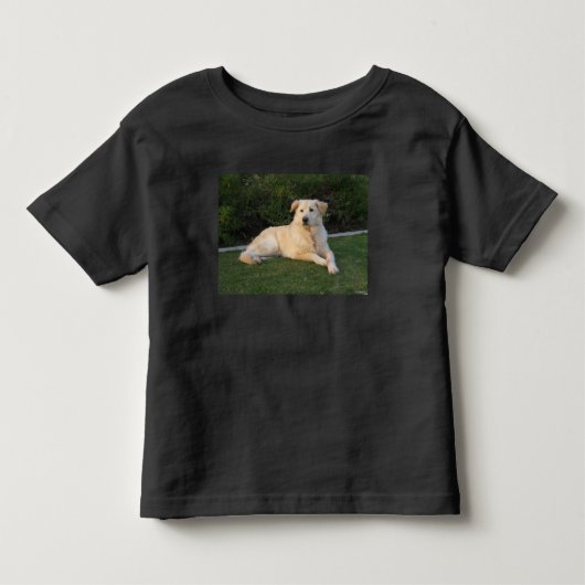 リラックスした犬 トドラーTシャツ (正面)