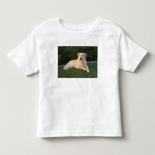 リラックスした犬 トドラーTシャツ (正面)