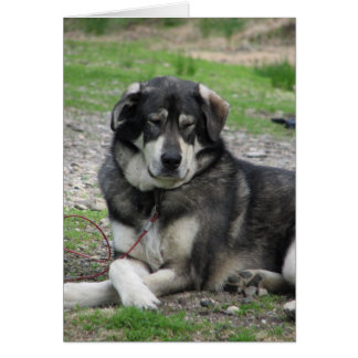 リラックスして下さい!