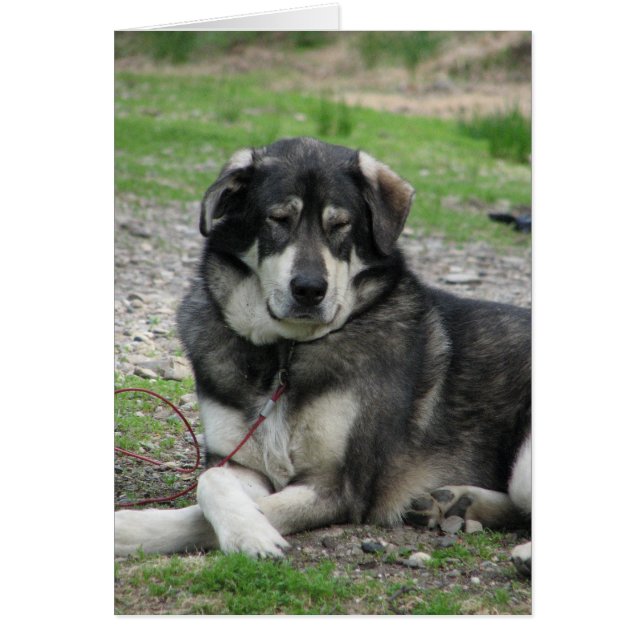 リラックスして下さい! (正面)