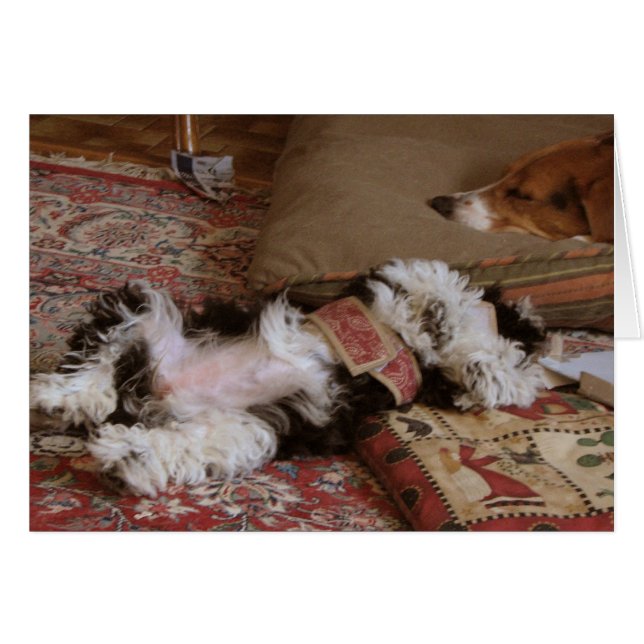 リラックスして下さい! (正面横)