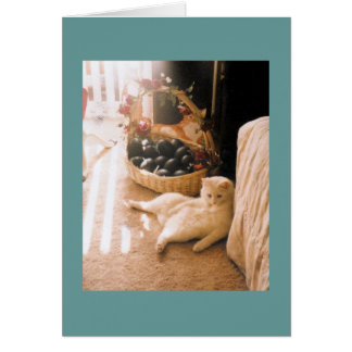 リラックスして下さい