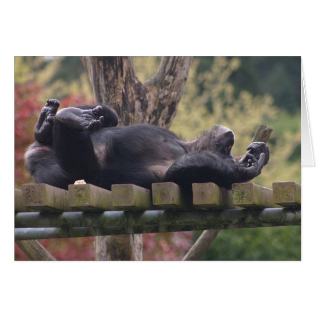 リラックスして下さい! (正面横)