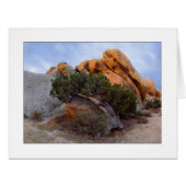 "リラックスしました杜松"を (正面横)