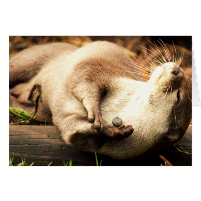 リラックスし、楽しんで下さい! (正面横)