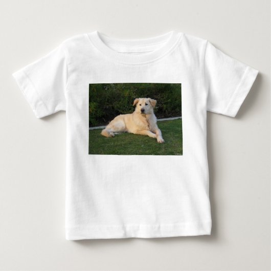 リラックスする犬 ベビーTシャツ (正面)