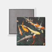 リラックスのオレンジと白アジアのコイ魚池 マグネット (正面/裏面)