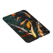 リラックスのオレンジと白アジアのコイ魚池 マグネット (右側)