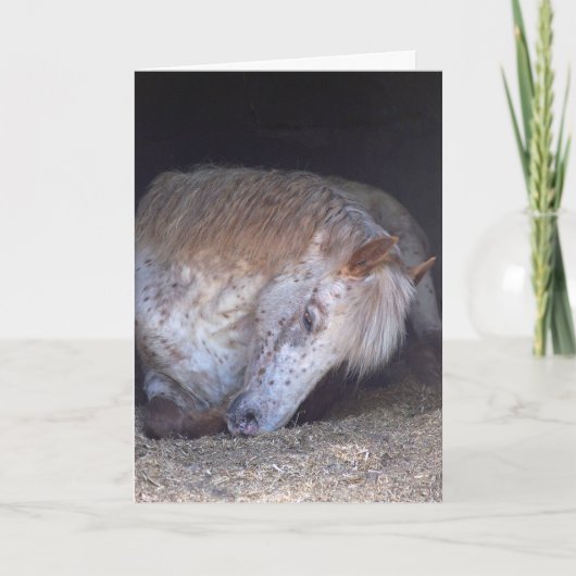 リラックスのバースデー・カード カード (正面)