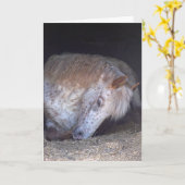 リラックスのバースデー・カード カード (黄色い花)