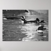 リラックスの ポスター (正面)