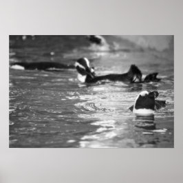 リラックスの ポスター