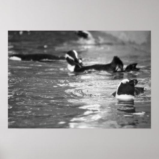 リラックスの ポスター (正面)