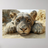 リラックスの ポスター (正面)