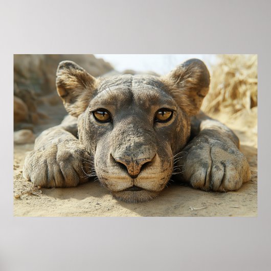 リラックスの ポスター (正面)