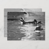 リラックスの ポストカード (正面/裏面)