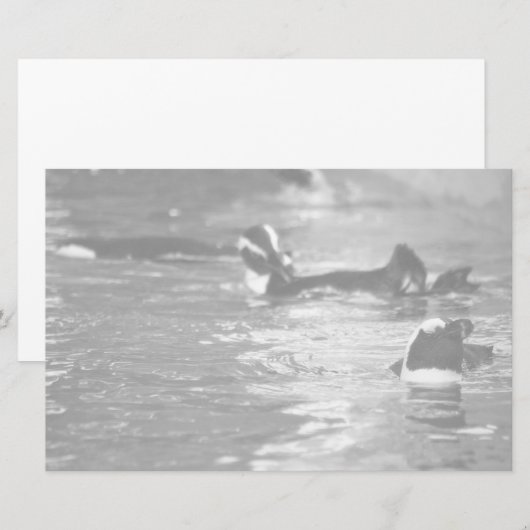 リラックスの 便箋 (正面/裏面)