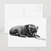 リラックスポーズの犬のポストカード ポストカード (正面/裏面)