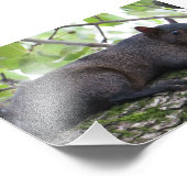 リラックスリス フォトプリント            (角)