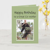 リラックス同僚の誕生日ベア素晴らしーだ カード (黄色い花)