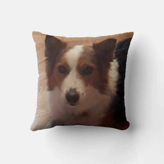 リラックス日 クッション (裏面)