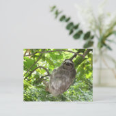 リラックス自然 ポストカード (スタンド正面)