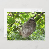 リラックス自然 ポストカード (正面/裏面)