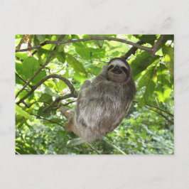 リラックス自然 ポストカード