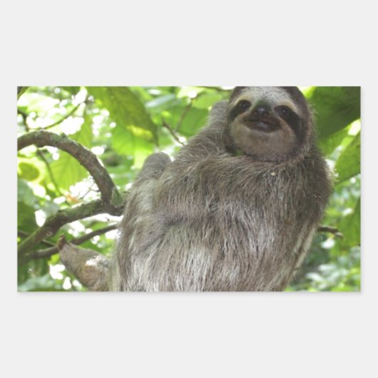 リラックス自然 長方形シール (正面)