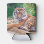 リラックス虎 缶クーラー (正面)