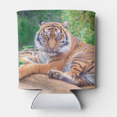 リラックス虎 缶クーラー (裏面)