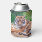 リラックス虎 缶クーラー (缶裏面)