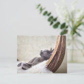 リラックス ポストカード (スタンド正面)