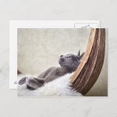 リラックス ポストカード (正面/裏面)